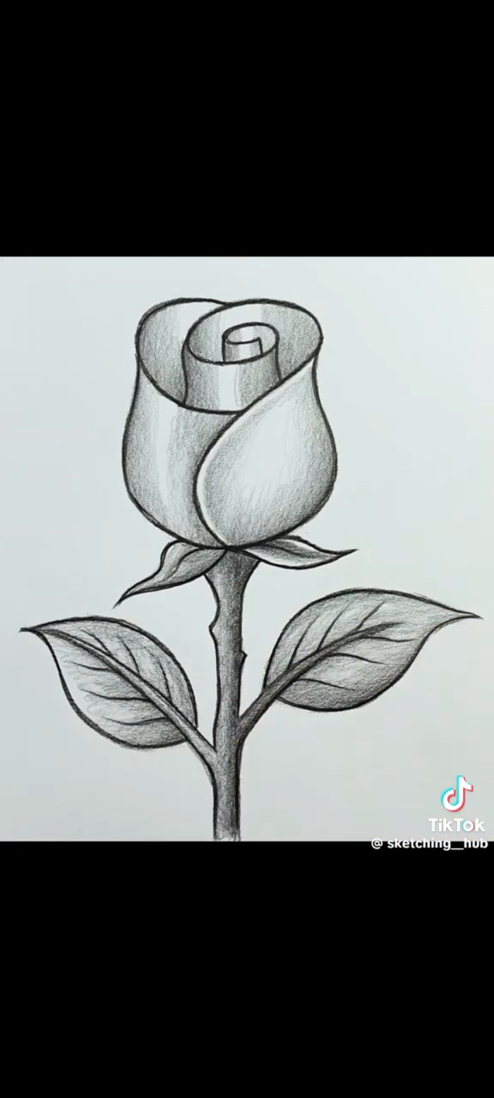 Pencil Art