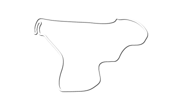 Black Cat County